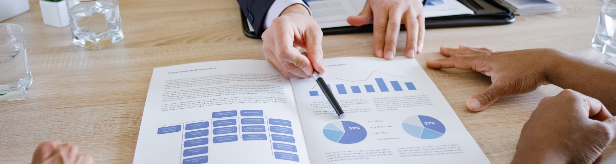 banker explaining pie chart to couple